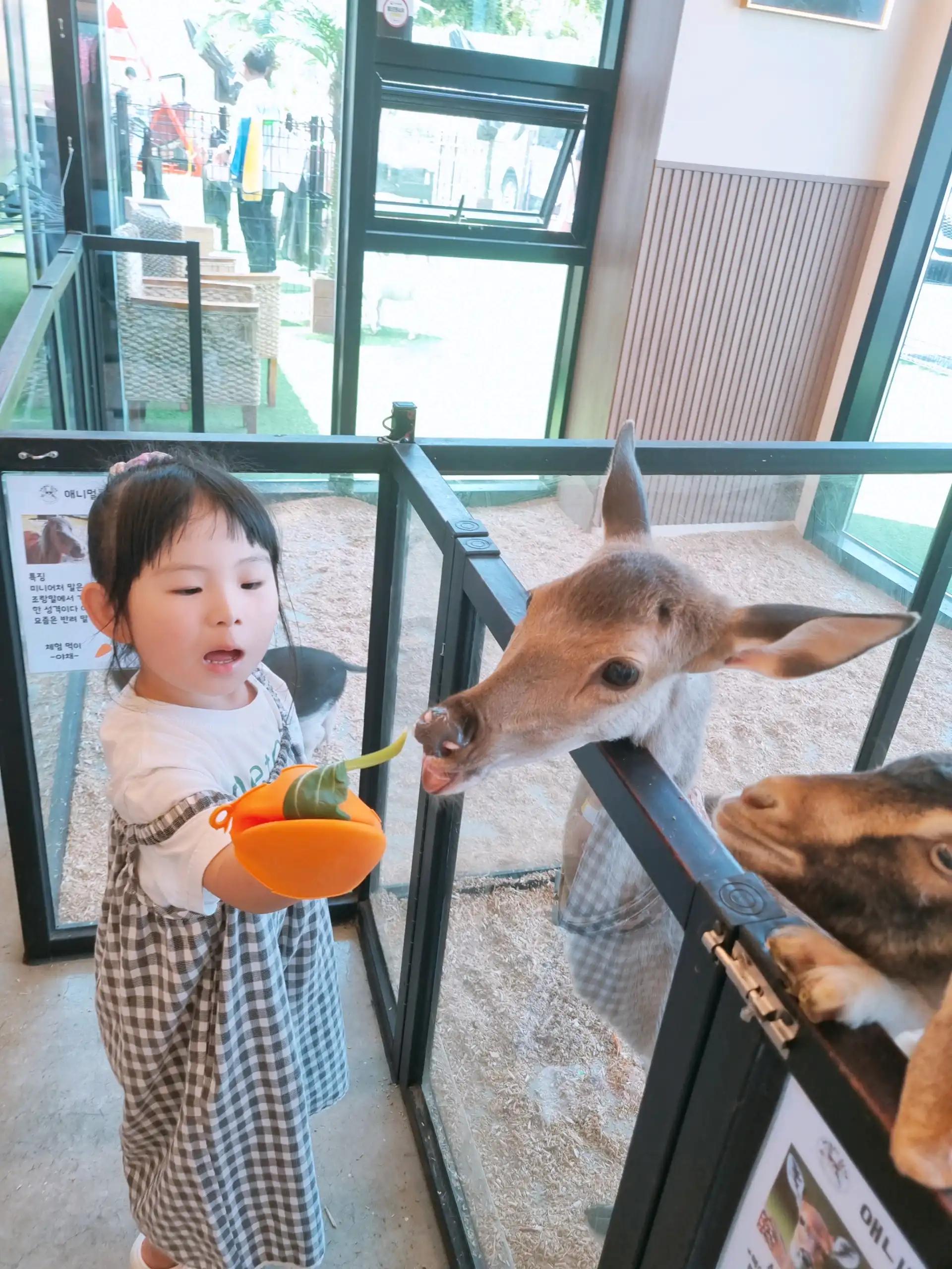 크루톡 이미지