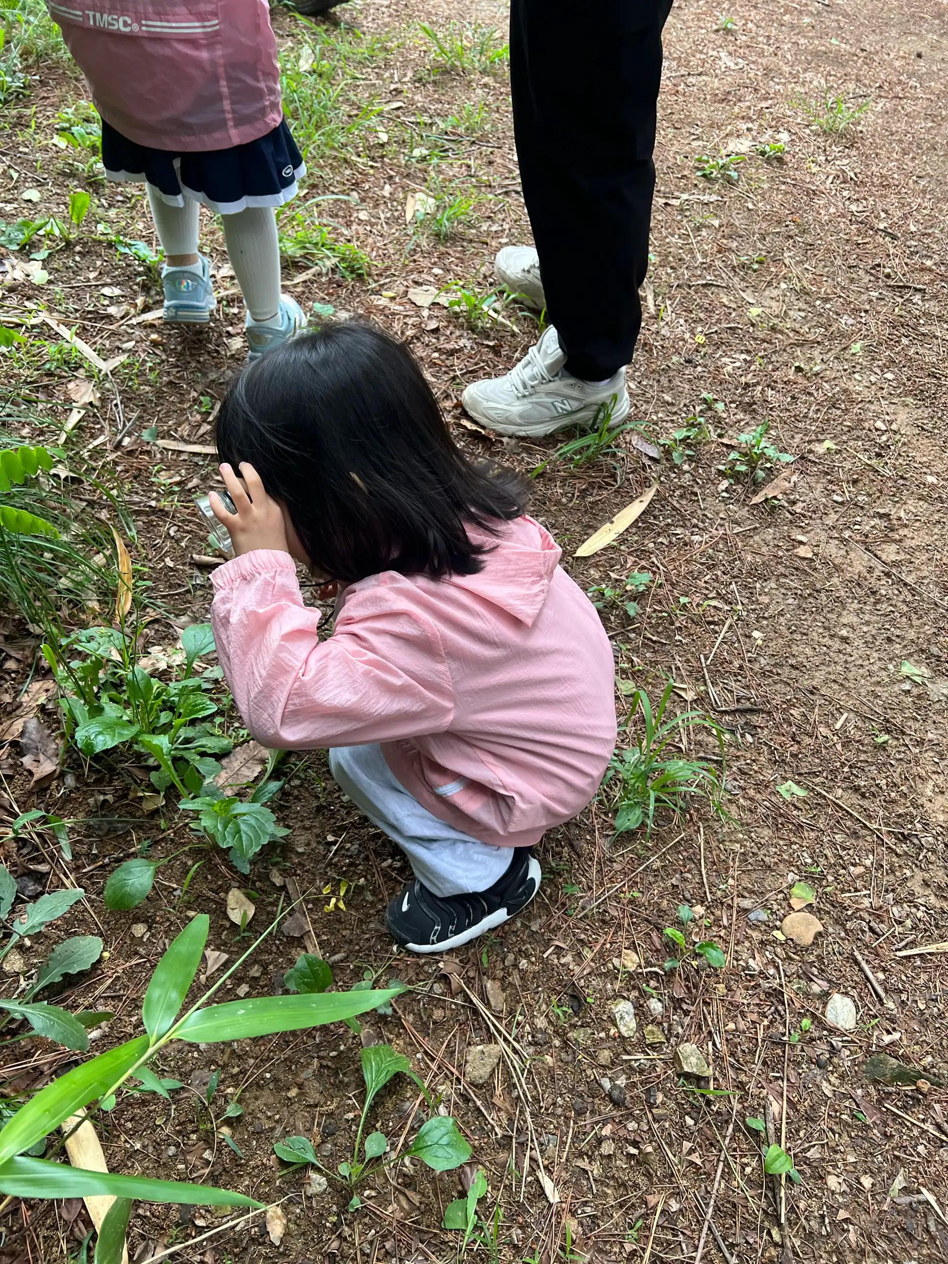크루톡 이미지