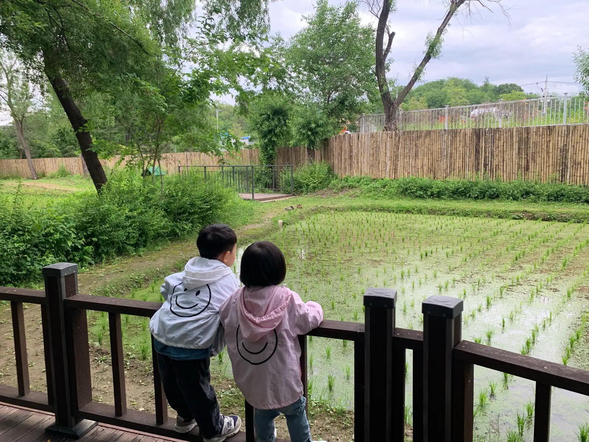 크루톡 이미지