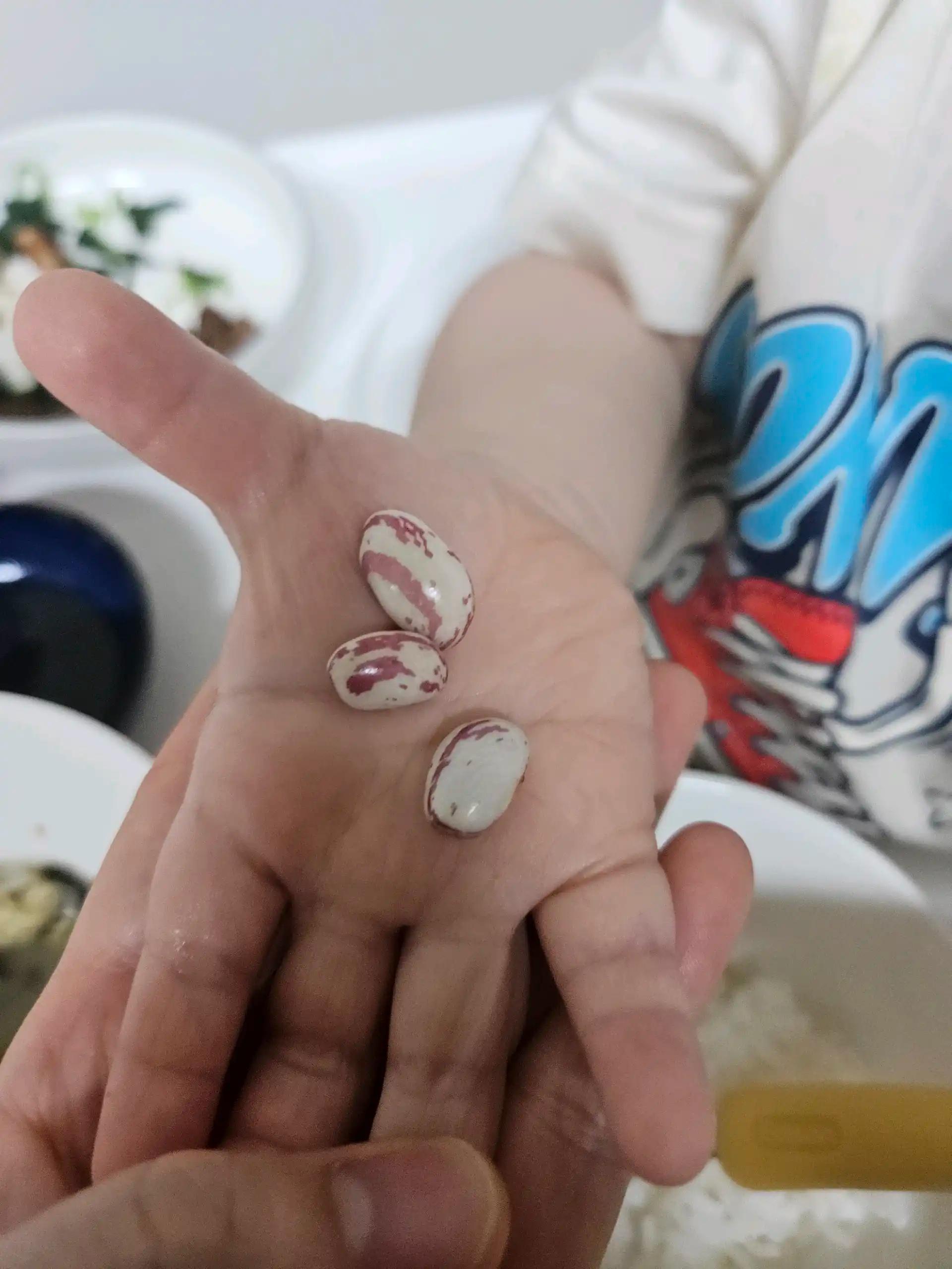 크루톡 이미지
