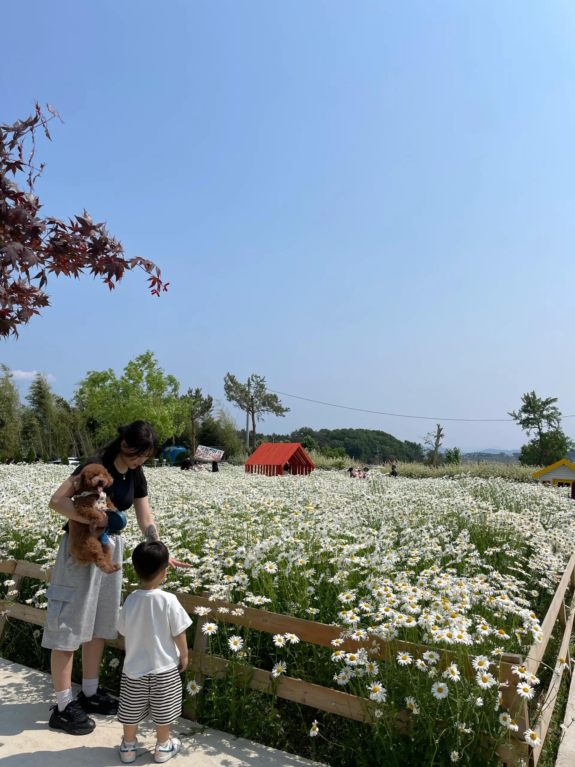 크루톡 이미지