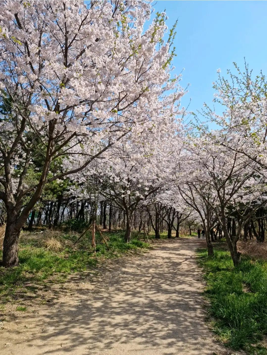 크루톡 이미지