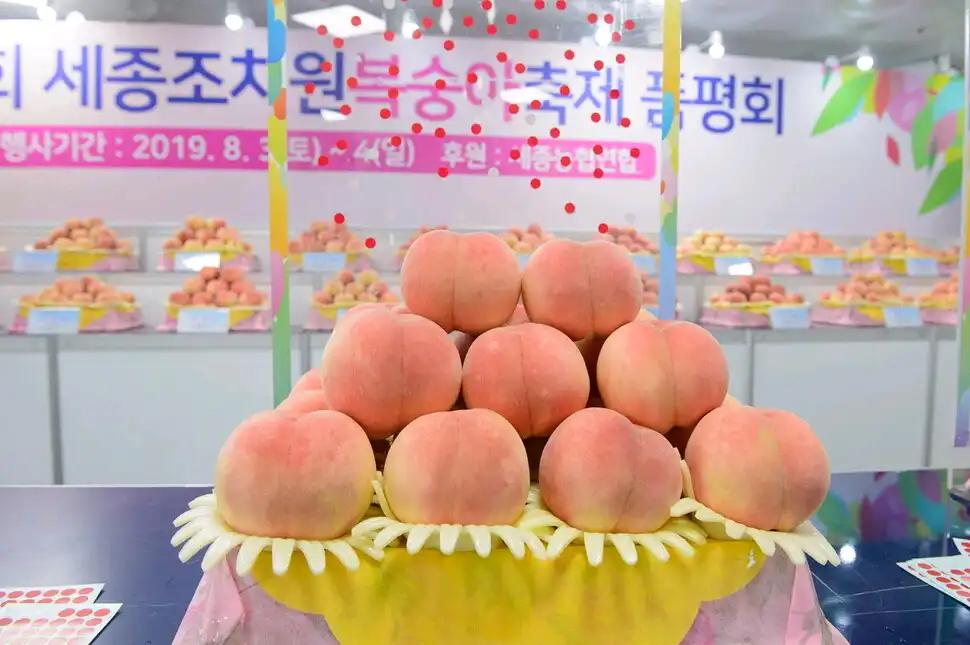 크루톡 이미지