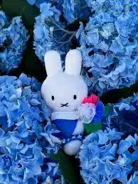 크루톡 이미지