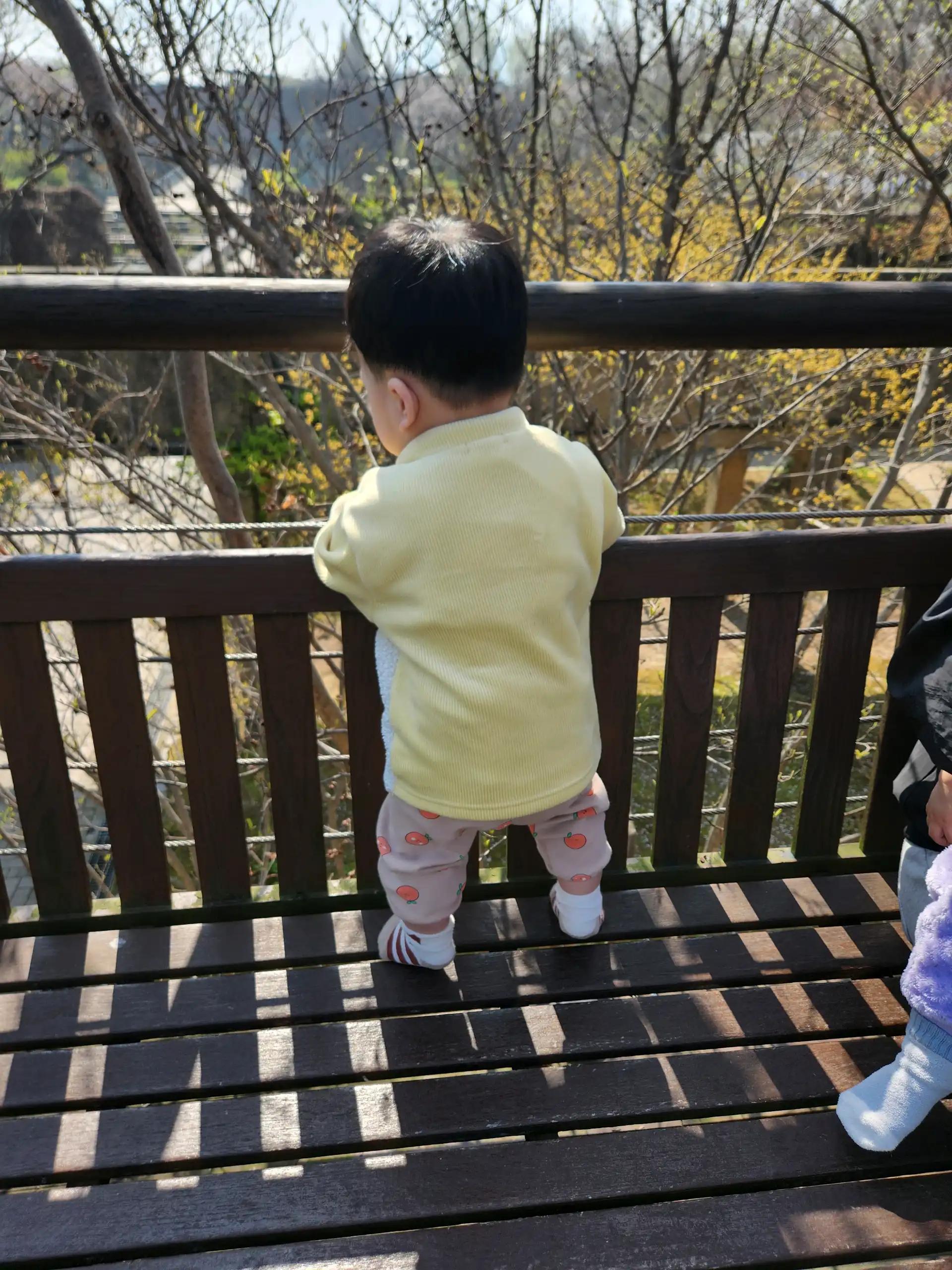 크루톡 이미지