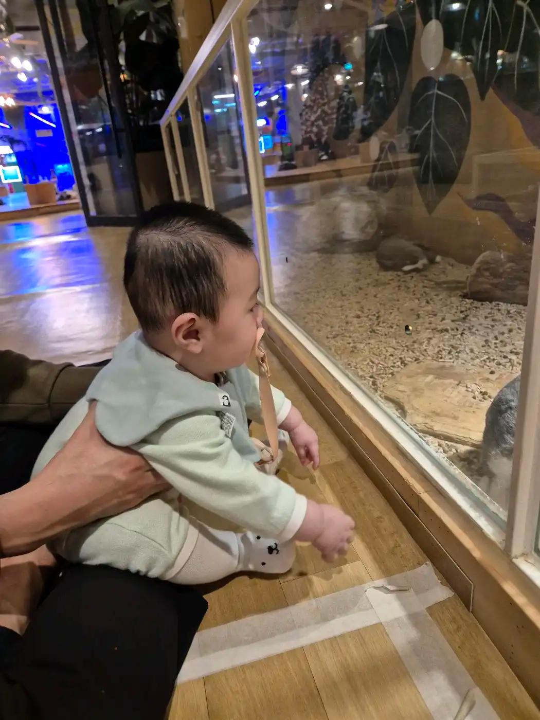 크루톡 이미지