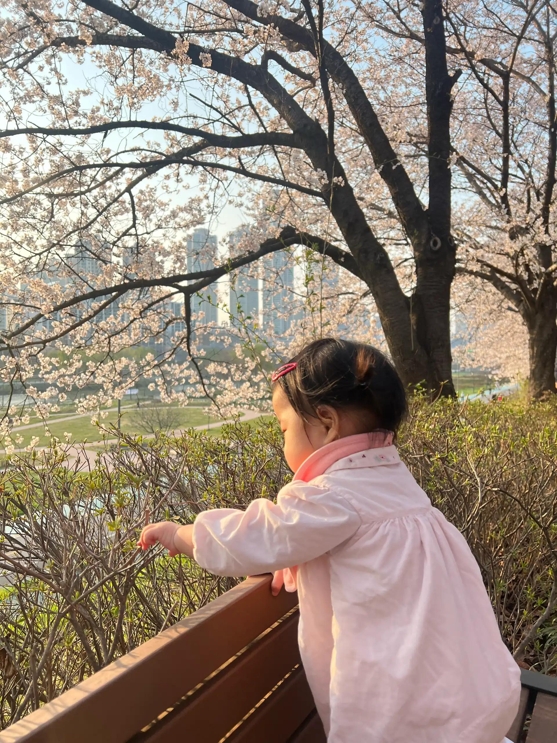 크루톡 이미지