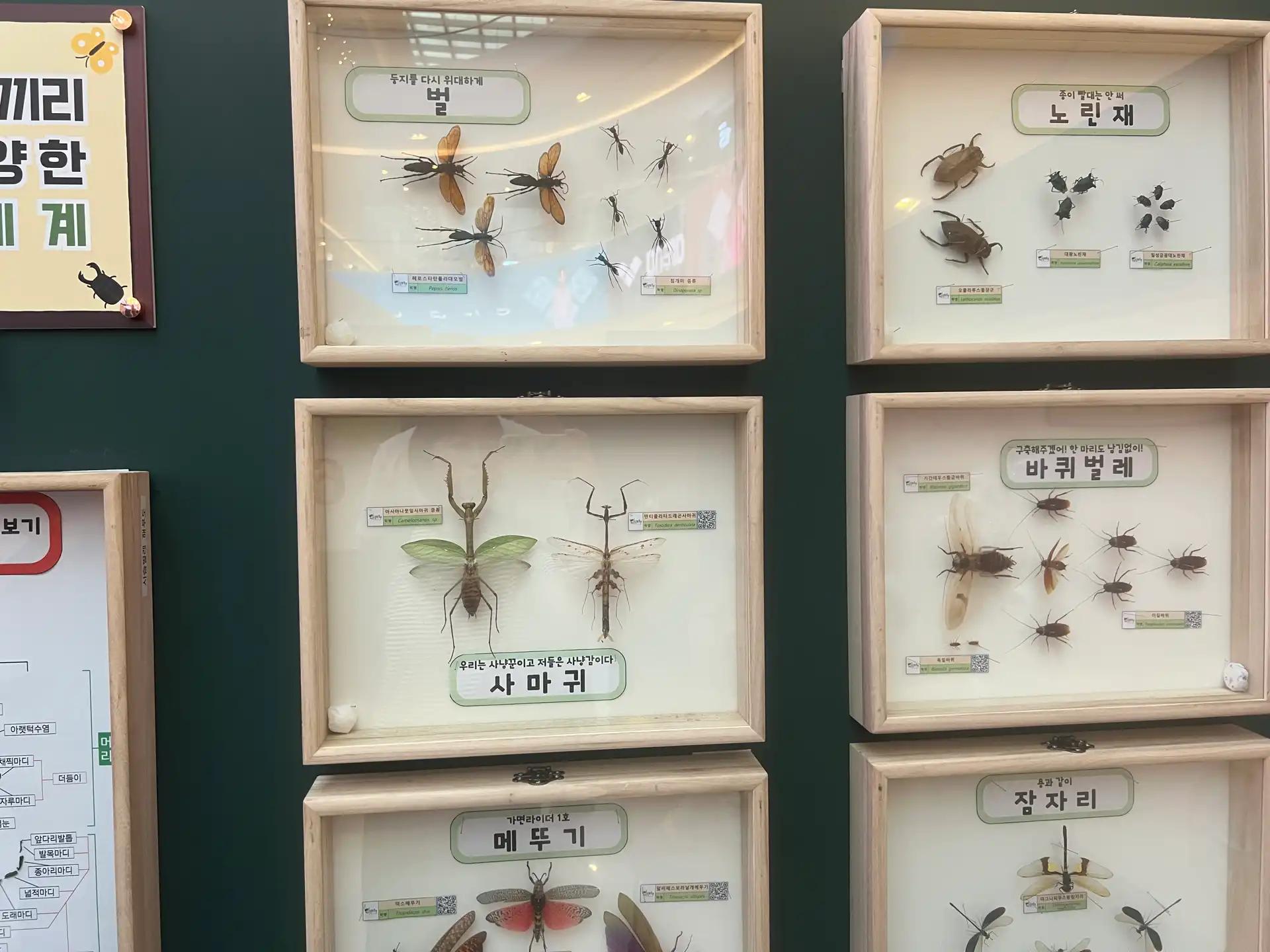 크루톡 이미지