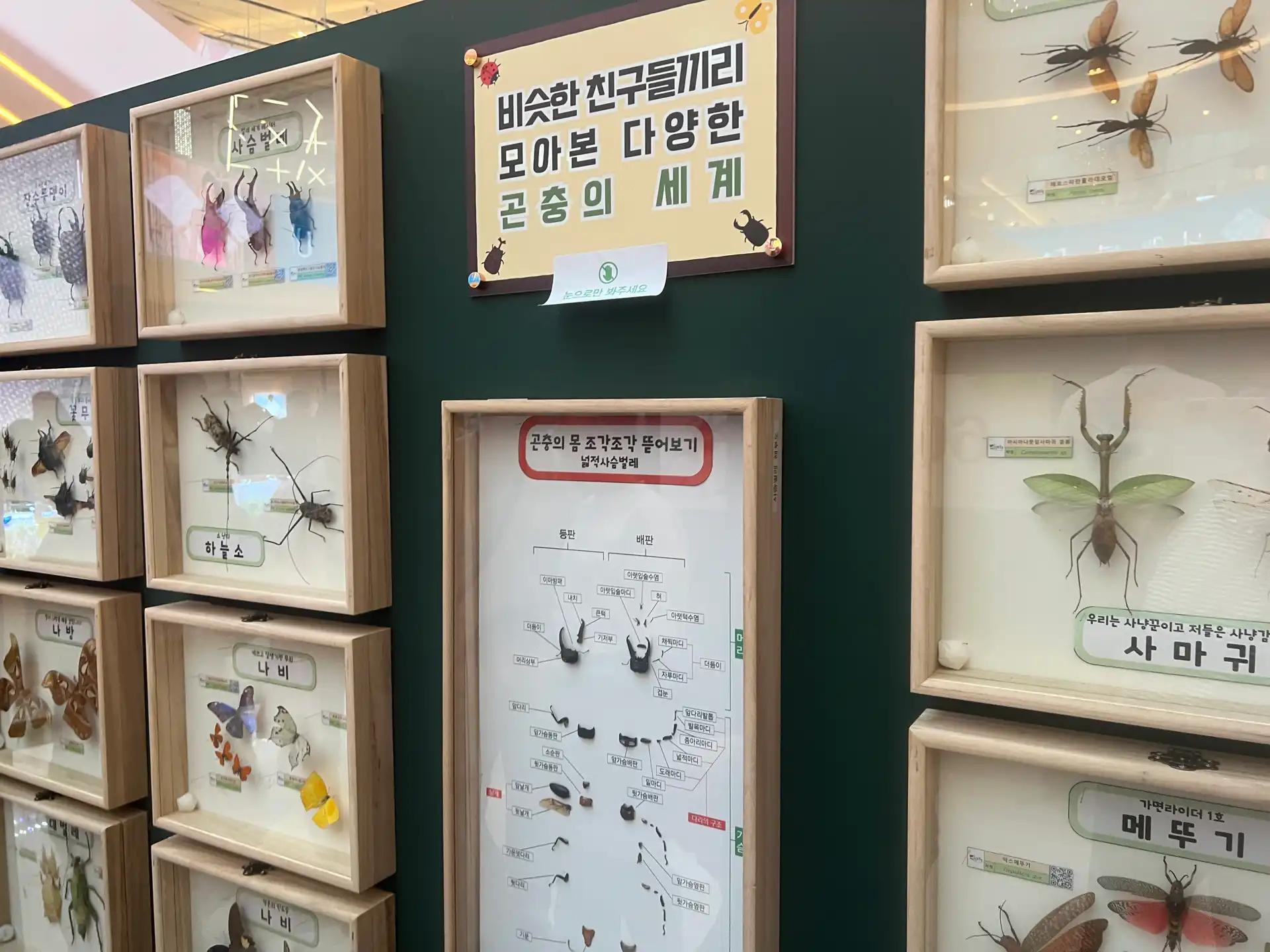 크루톡 이미지