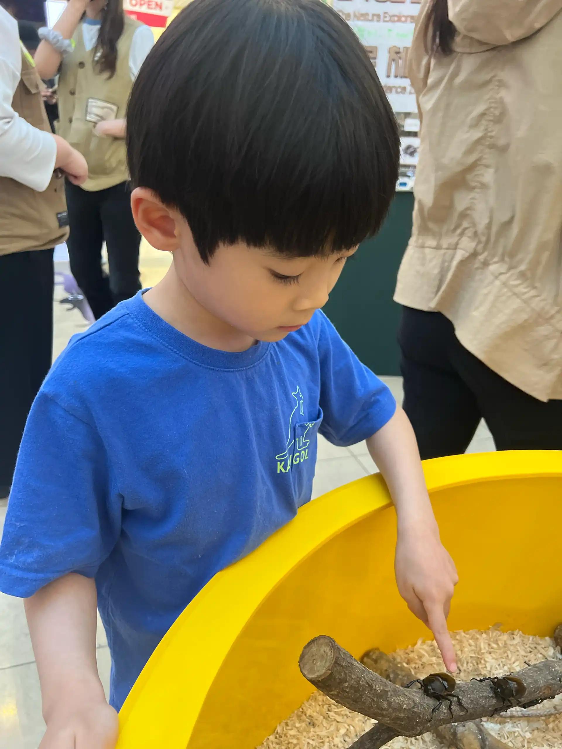 크루톡 이미지