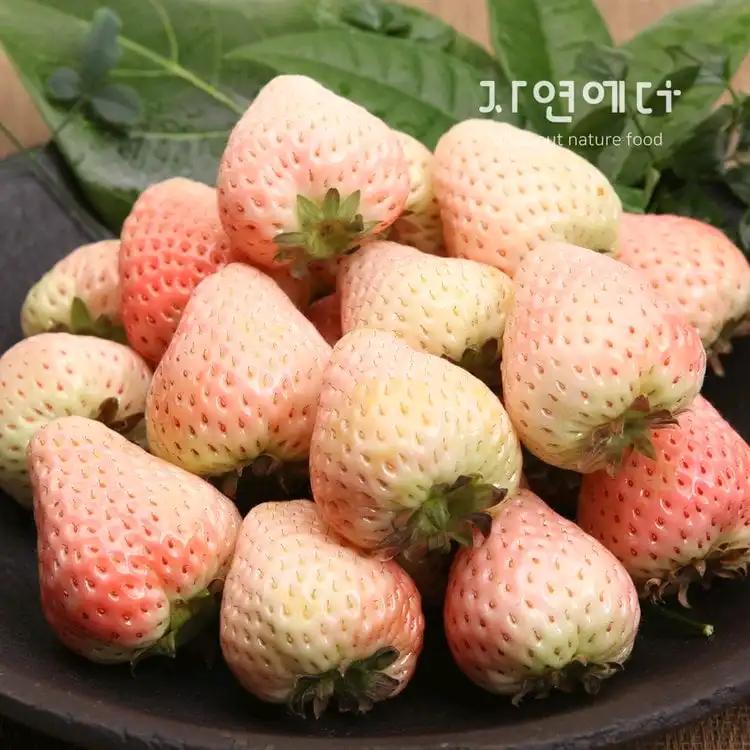 크루톡 이미지