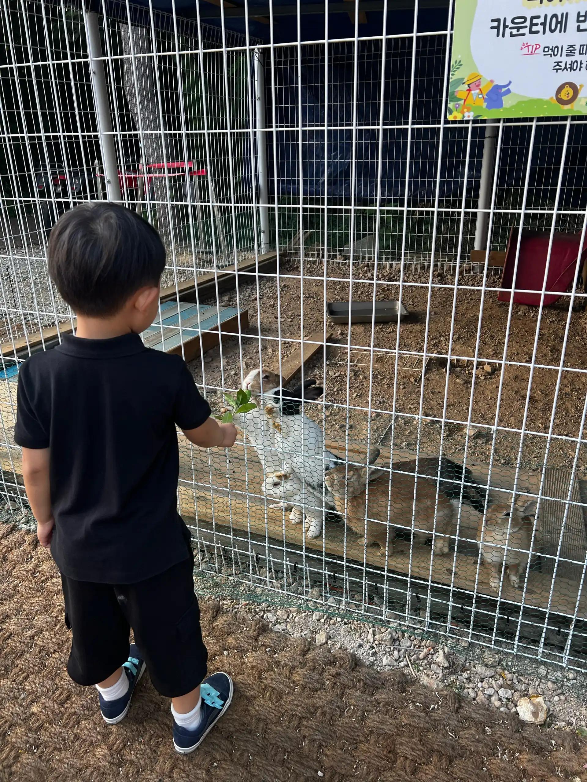 크루톡 이미지