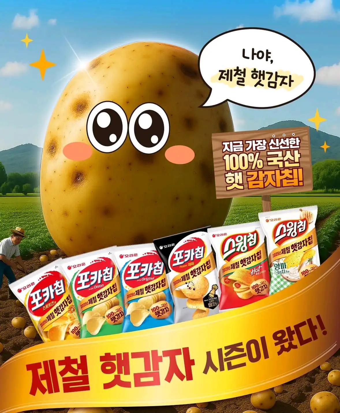크루톡 이미지