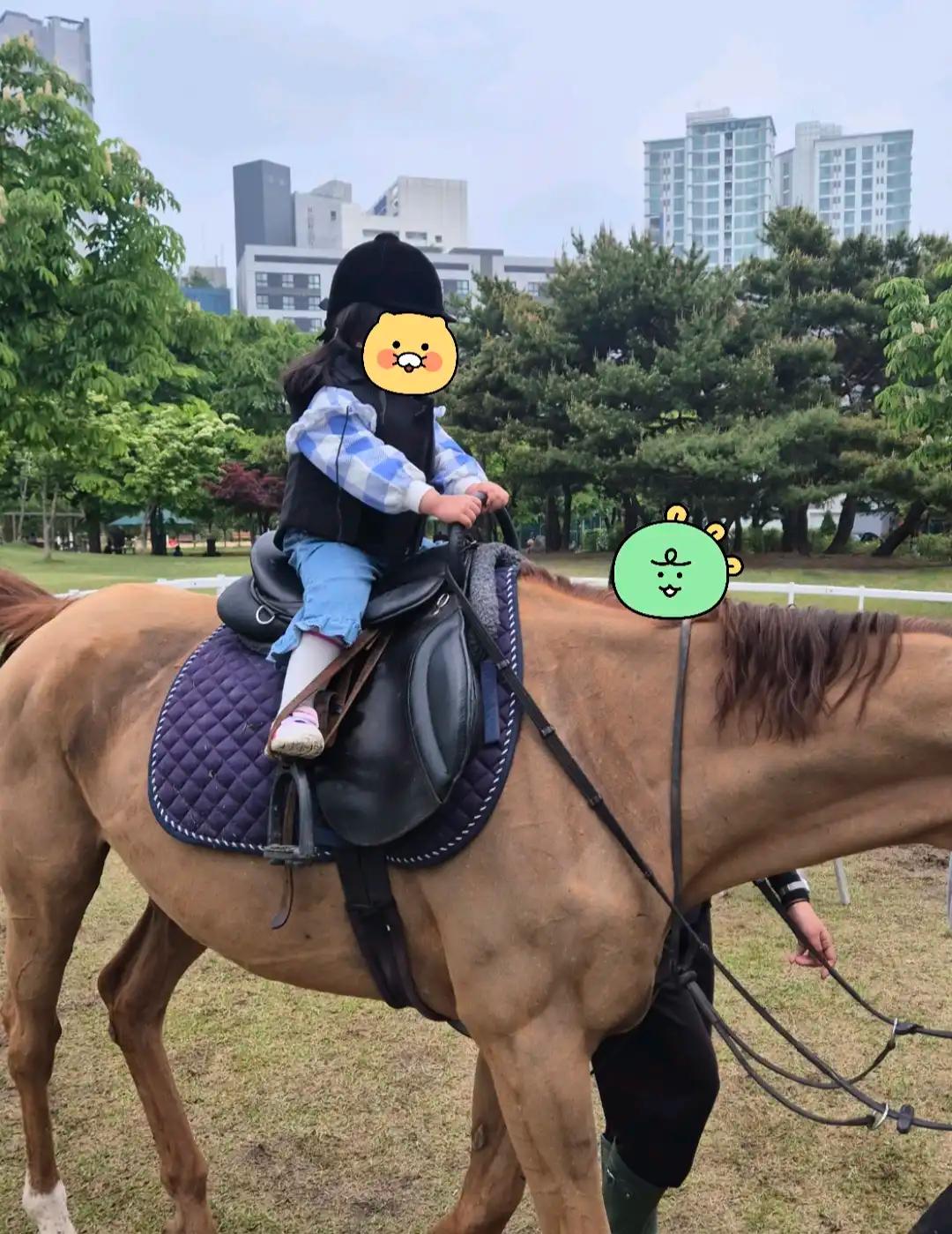 크루톡 이미지 2