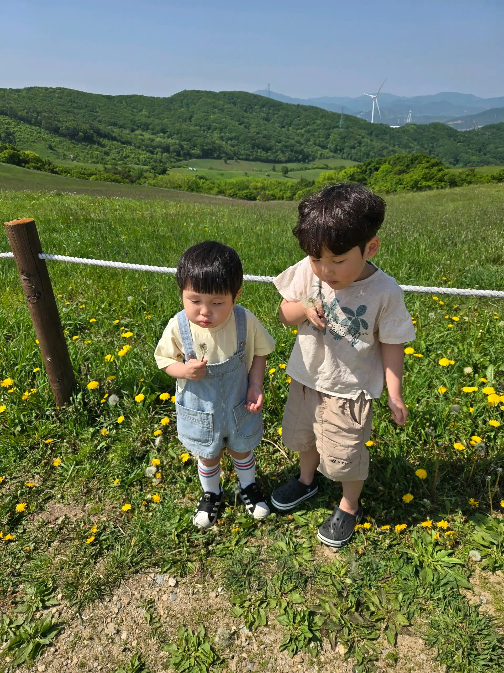 크루톡 이미지