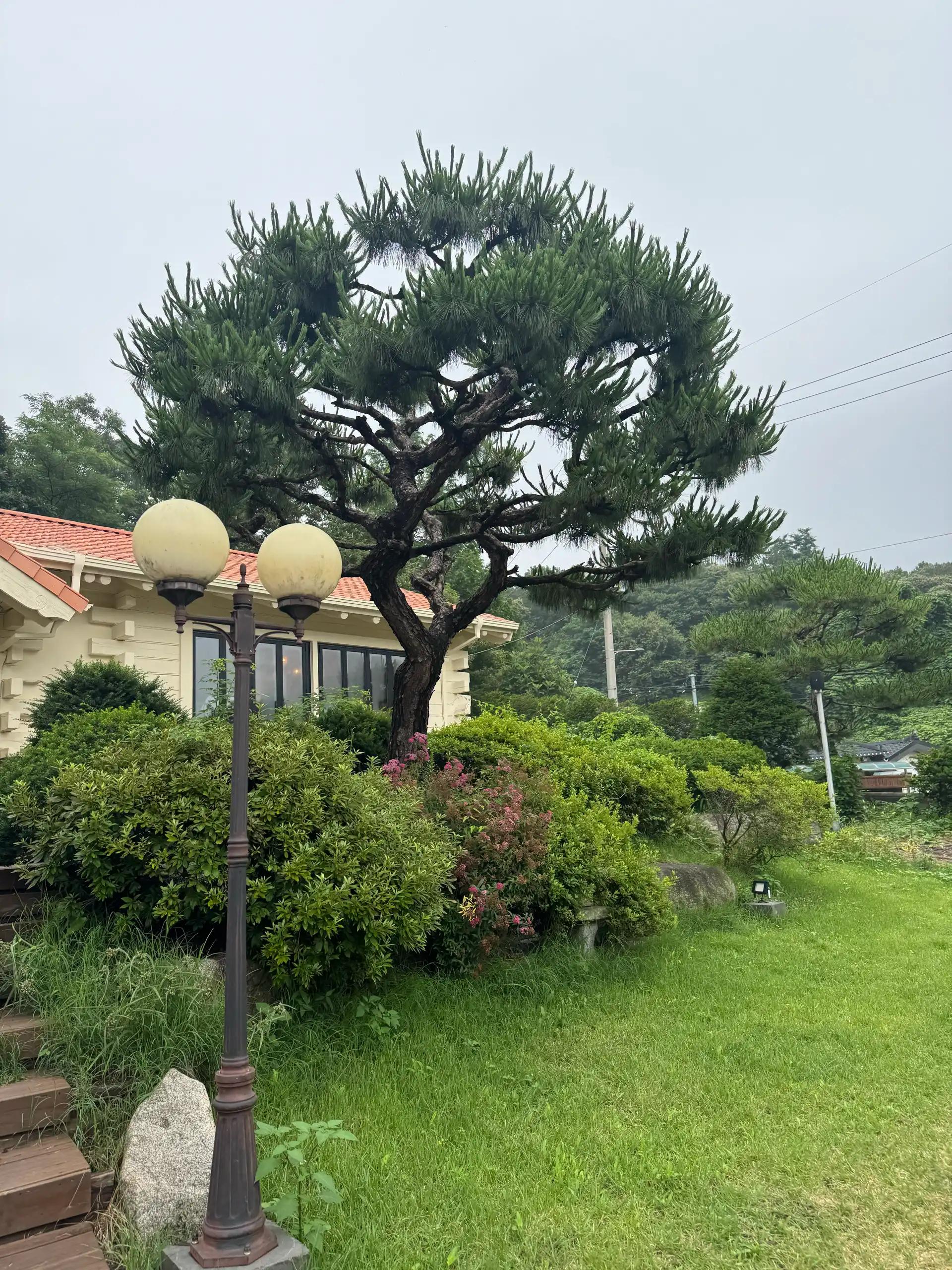 크루톡 이미지