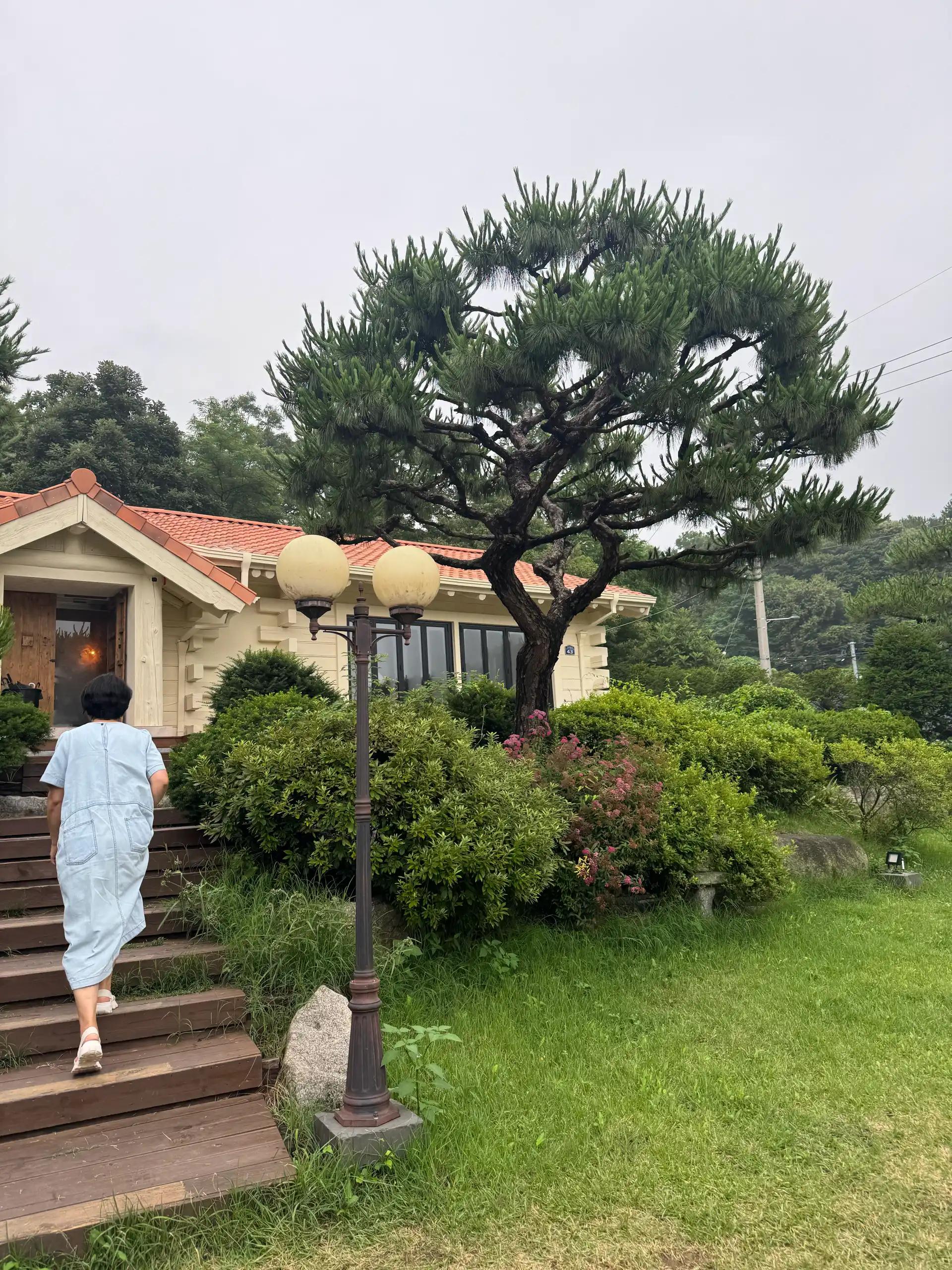 크루톡 이미지
