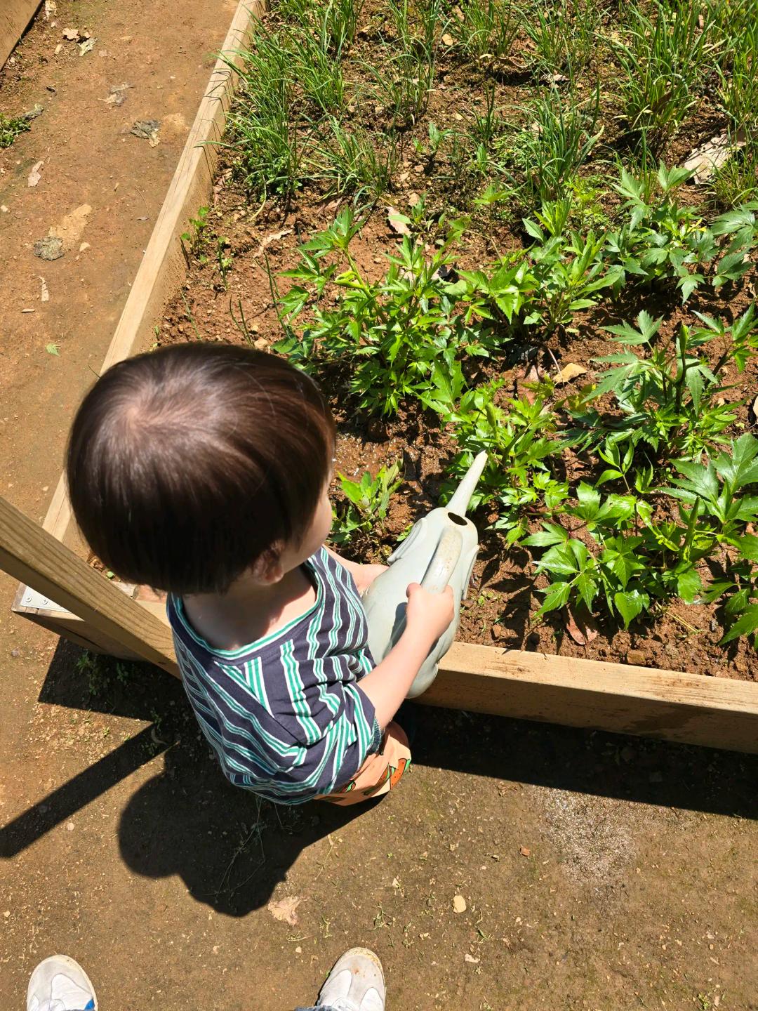 크루톡 이미지 5