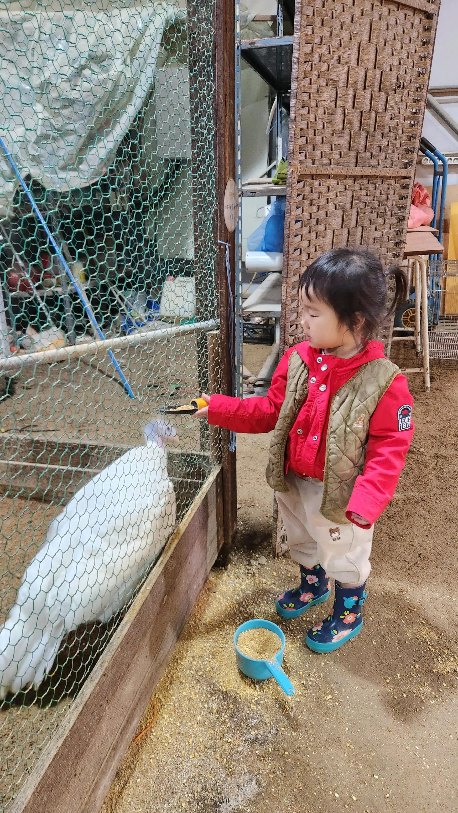 크루톡 이미지