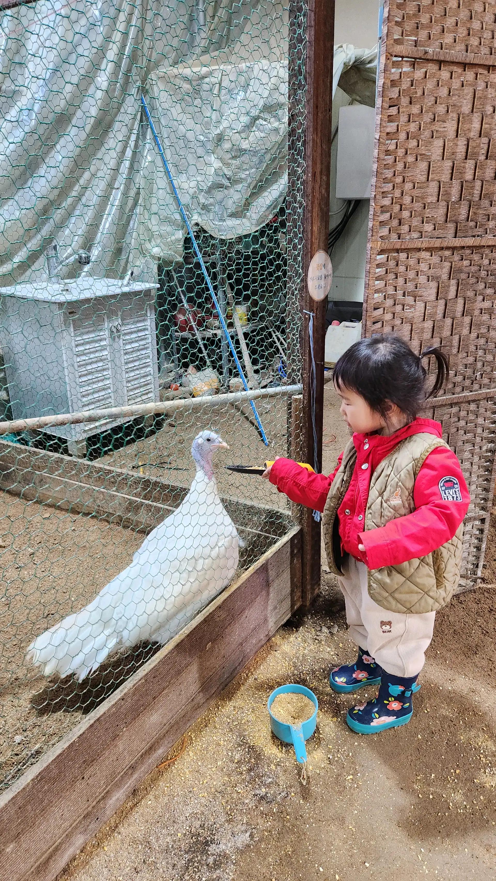 크루톡 이미지