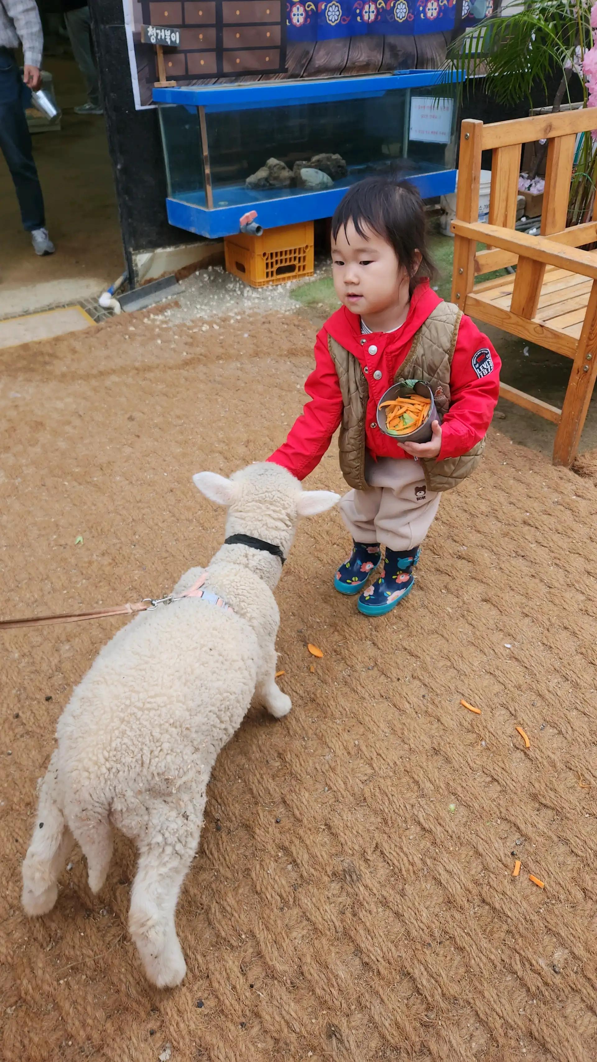 크루톡 이미지