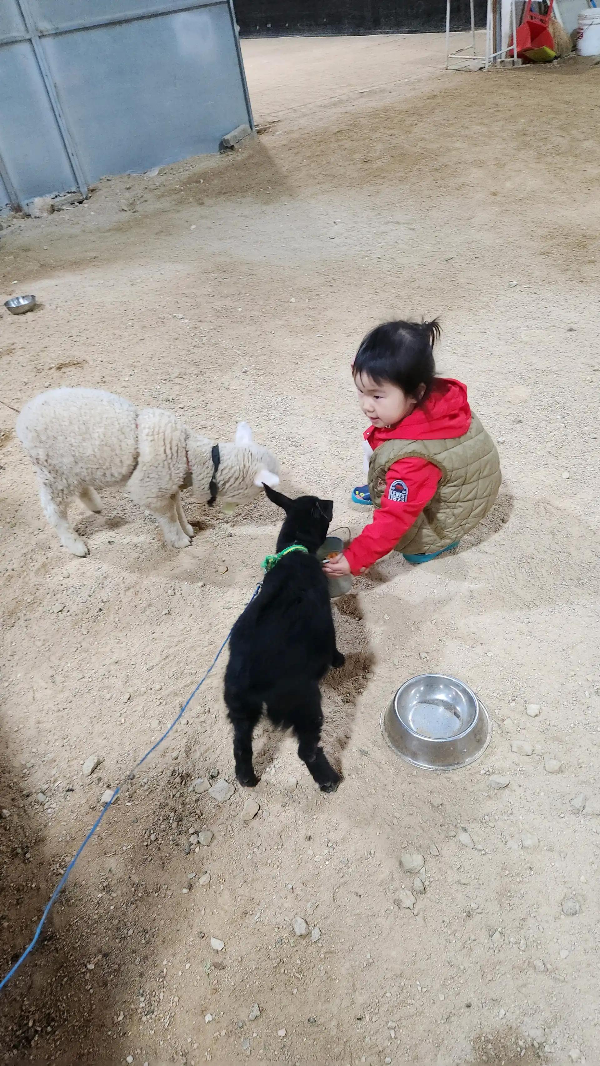 크루톡 이미지