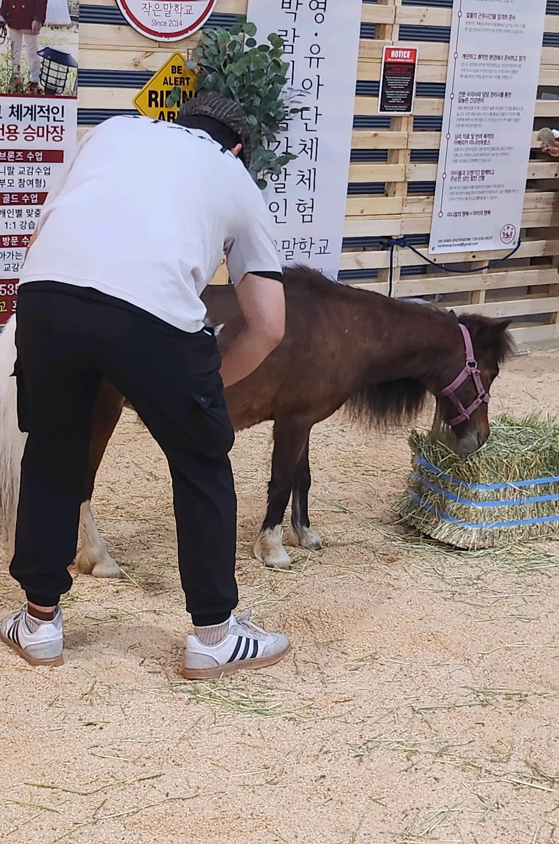 크루톡 이미지