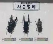 크루톡 이미지