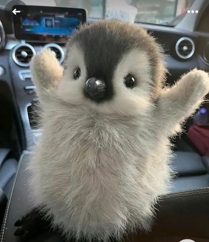 크루톡 이미지 1