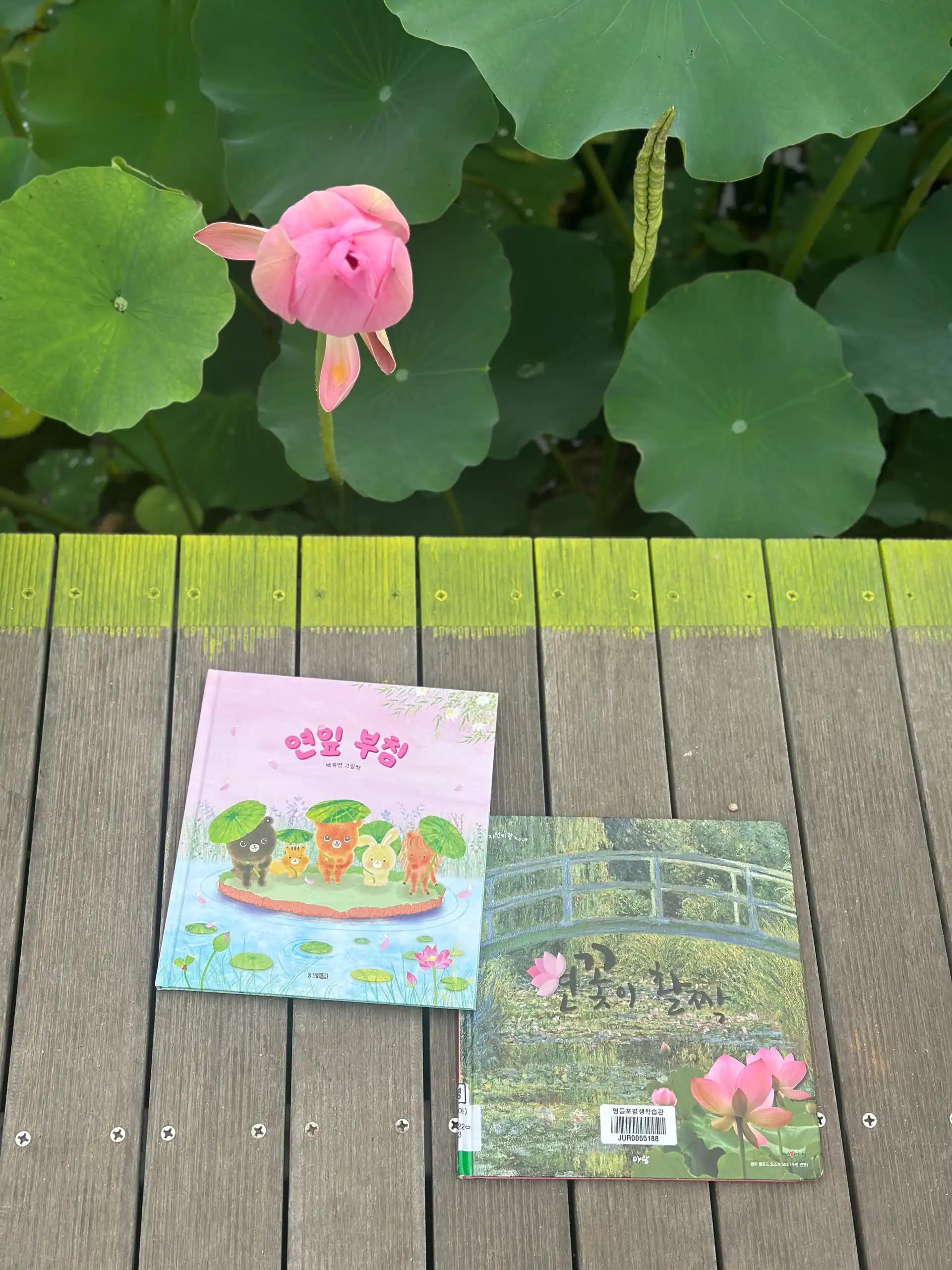 크루톡 이미지