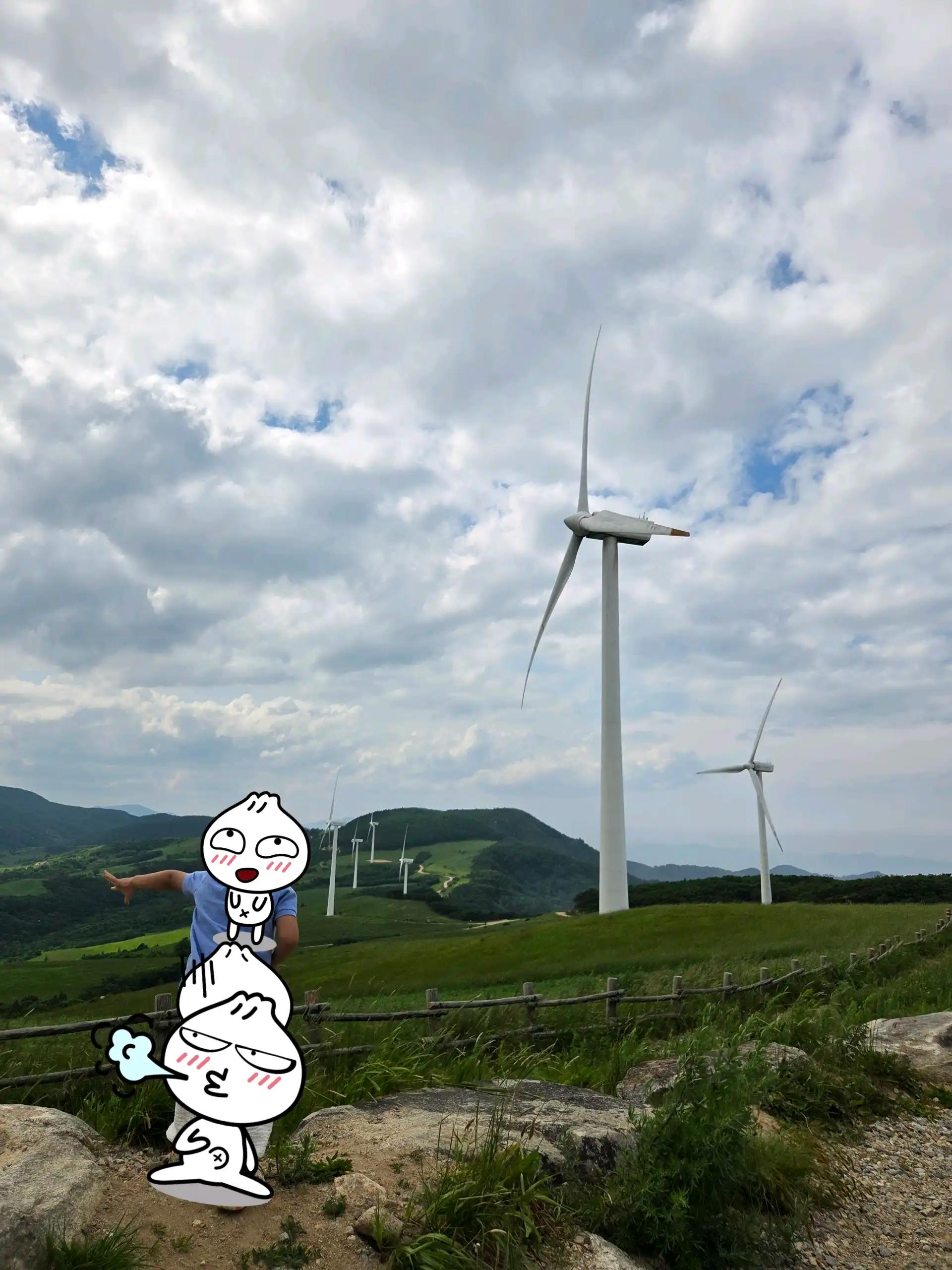 크루톡 이미지 8