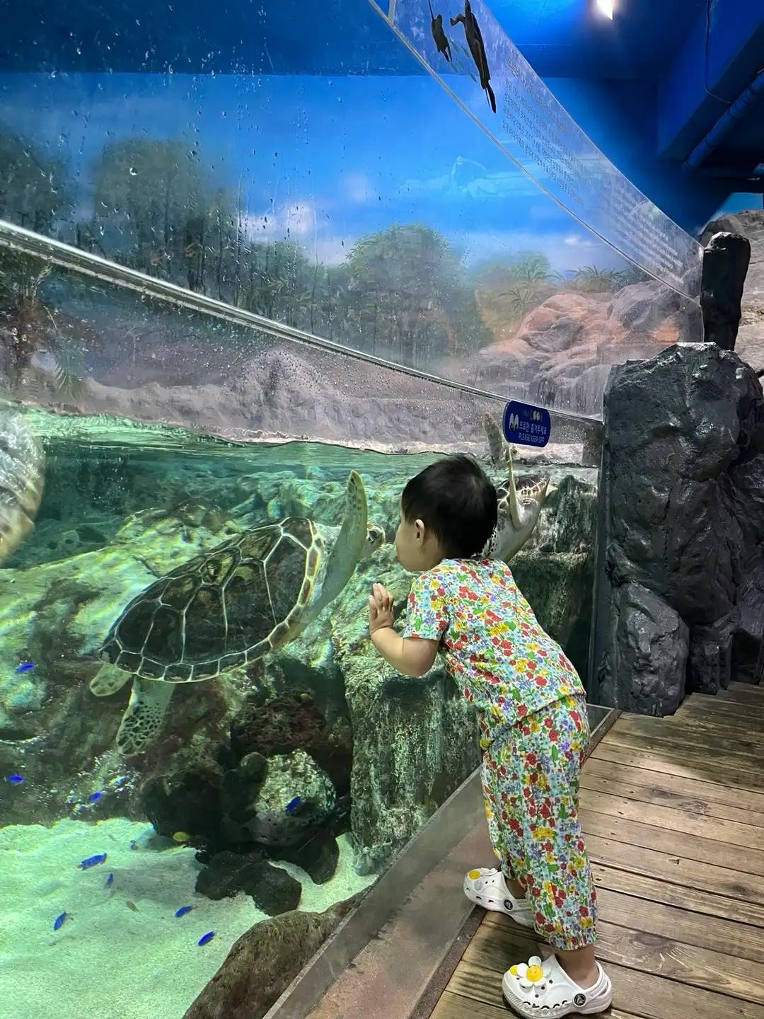 크루톡 이미지