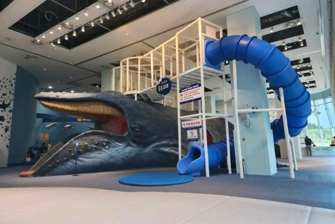 크루톡 이미지 1