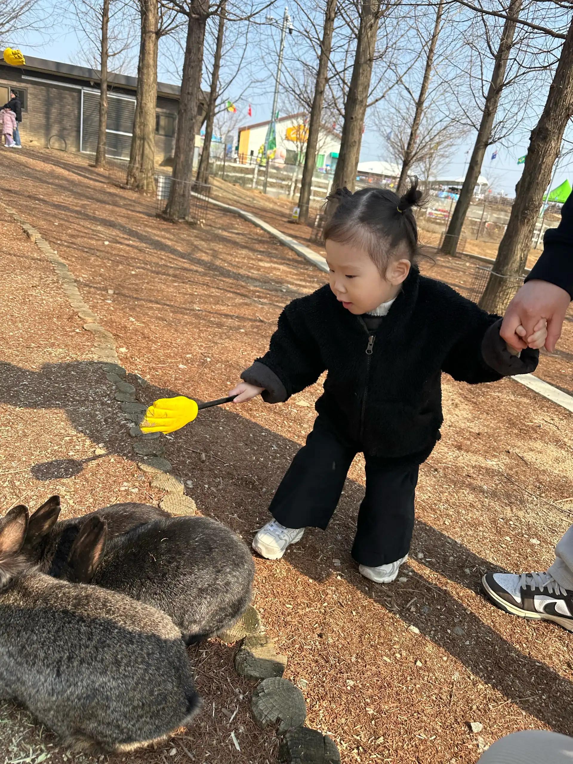 크루톡 이미지 11