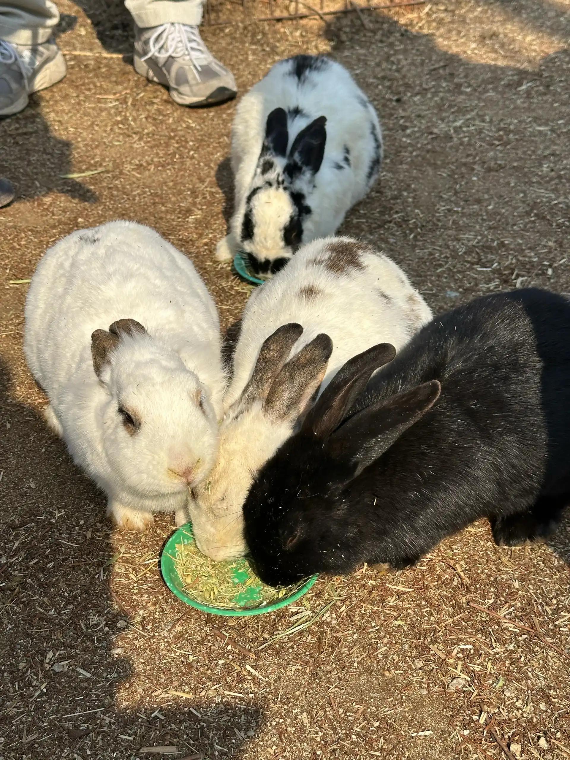 크루톡 이미지 12