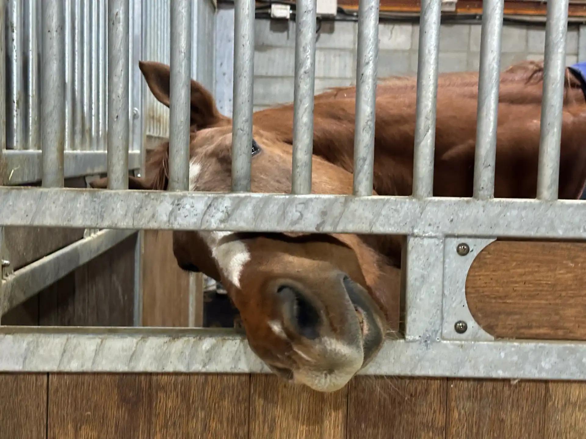 크루톡 이미지 6