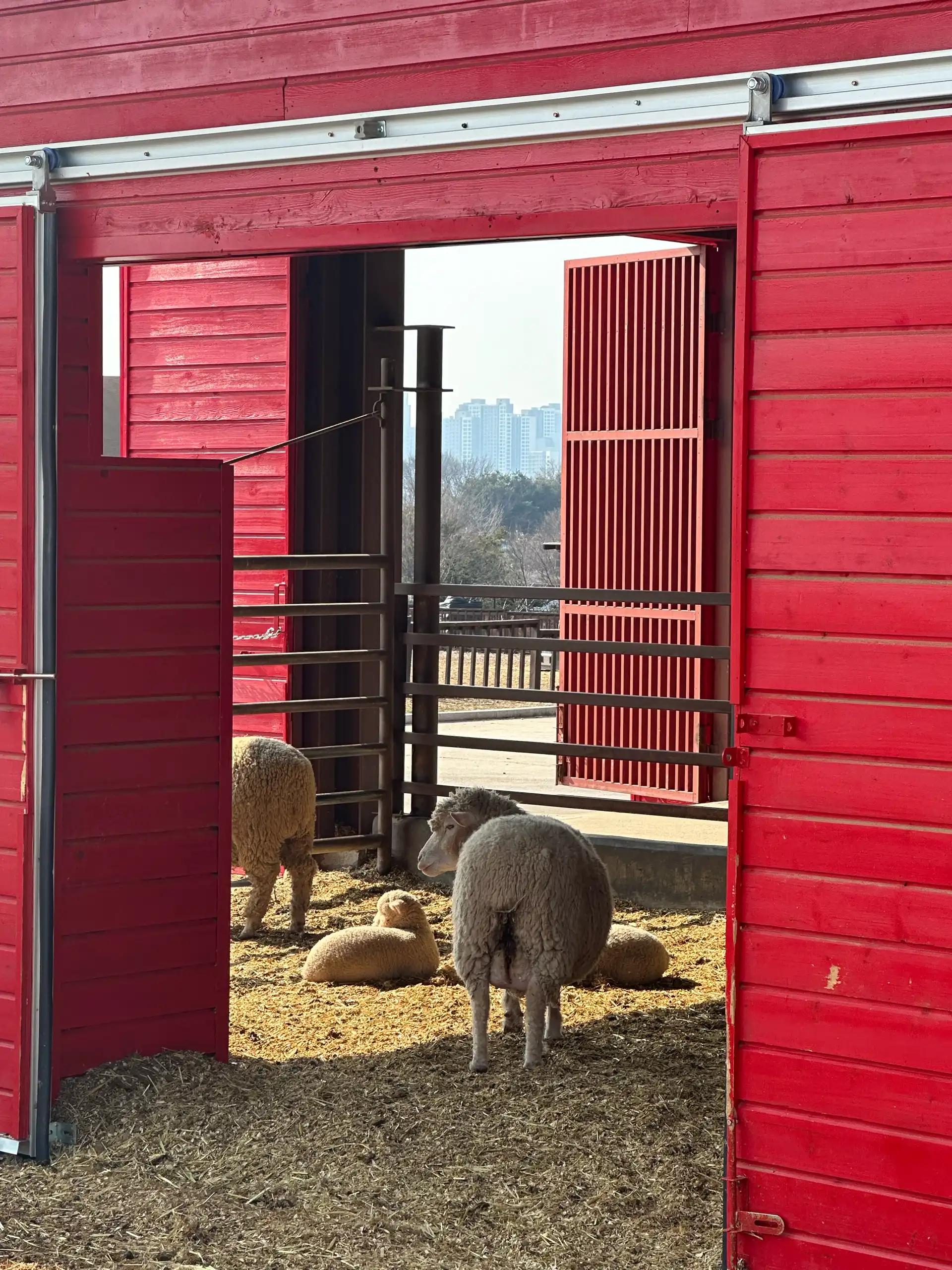 크루톡 이미지 7