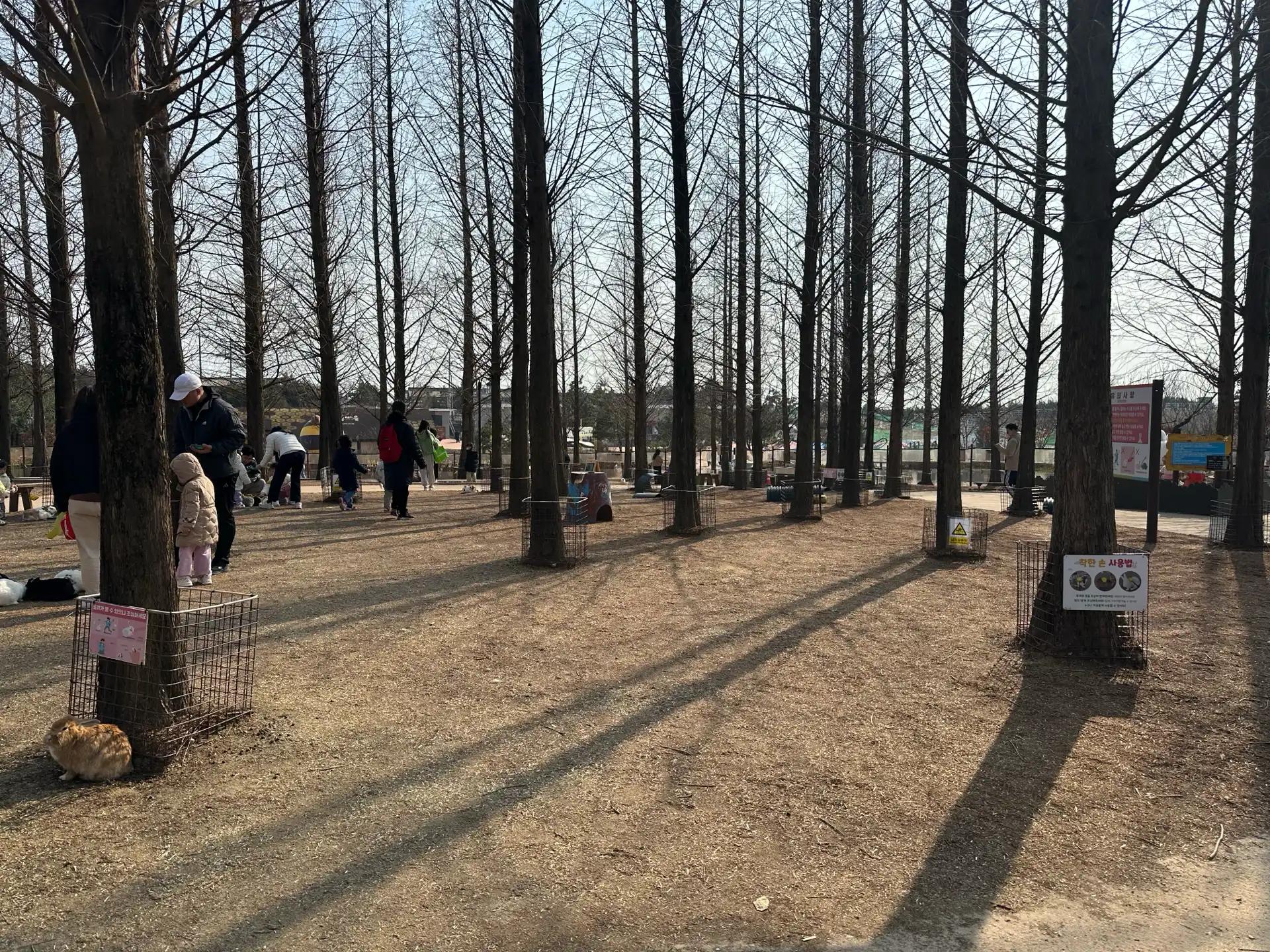 크루톡 이미지 9