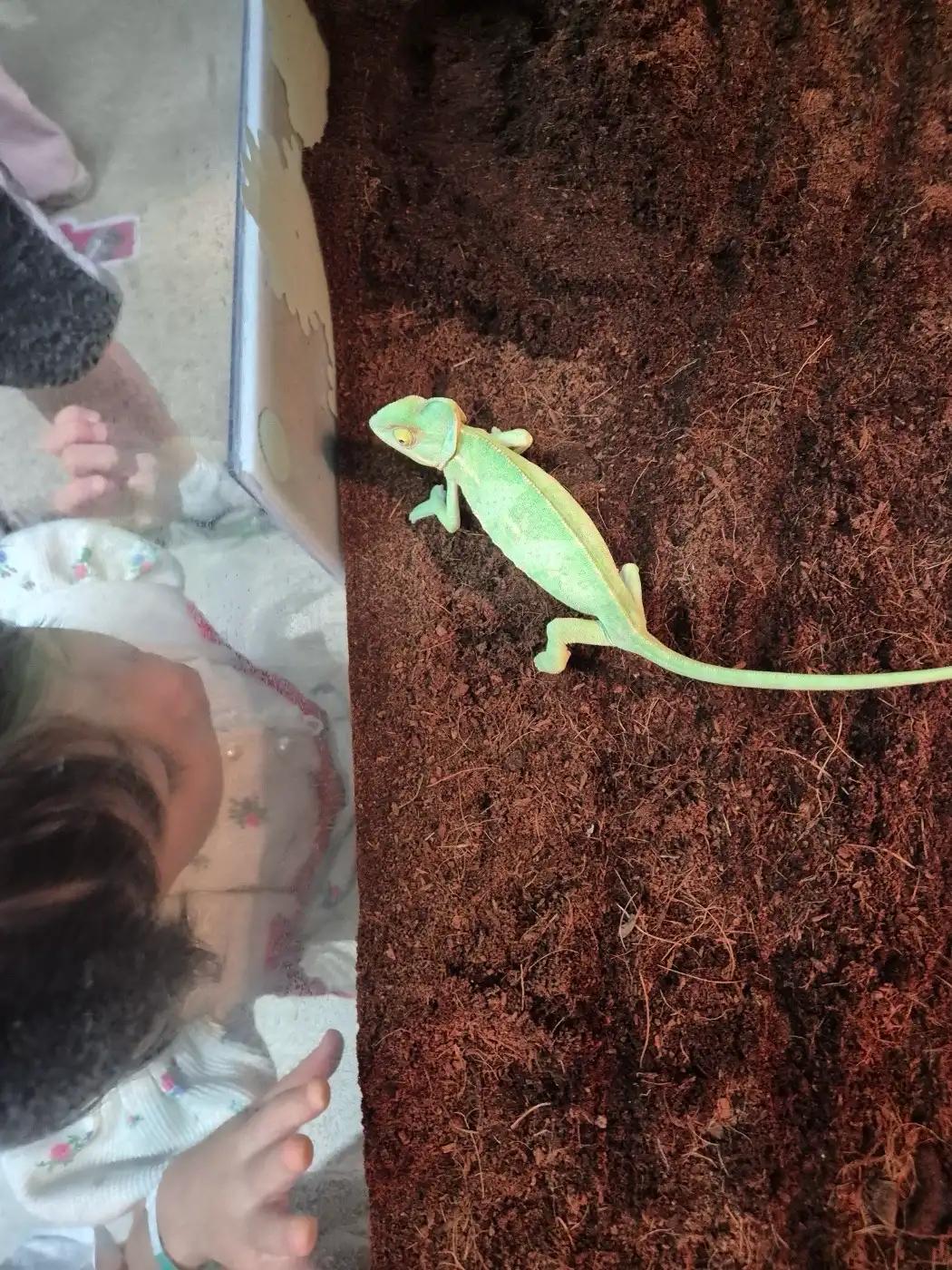 크루톡 이미지 2