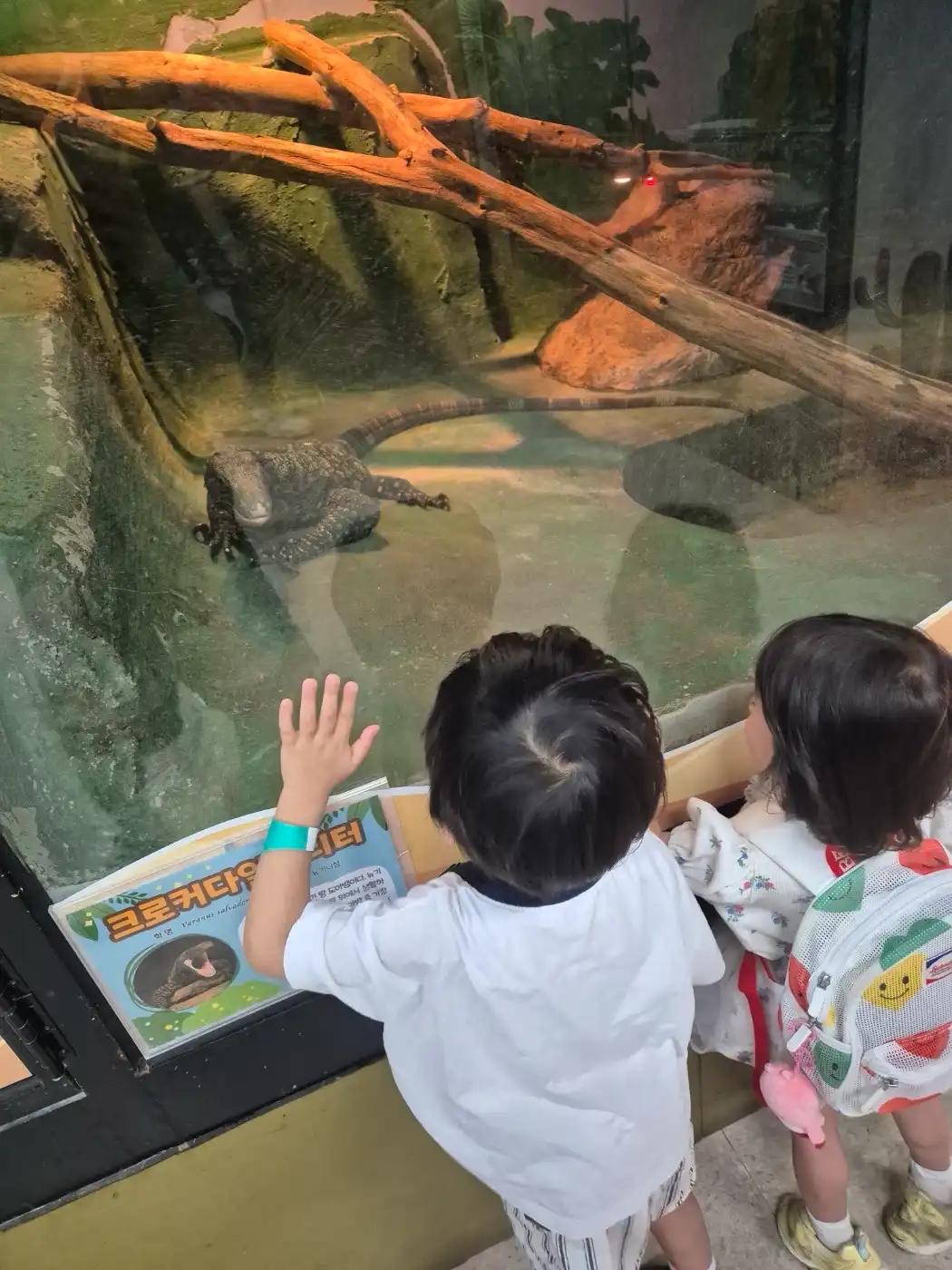 크루톡 이미지 3