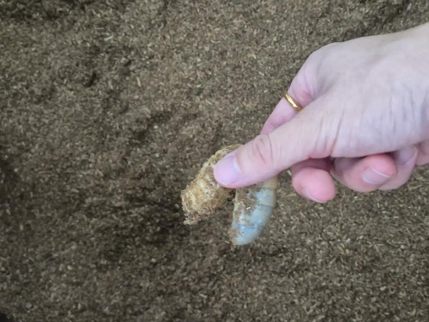 크루톡 이미지 5