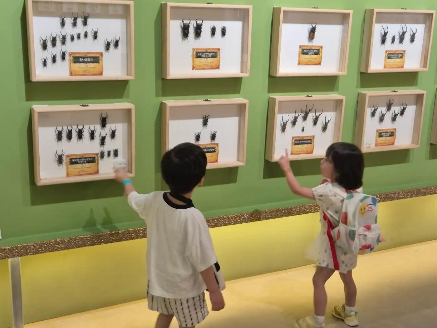 크루톡 이미지 8