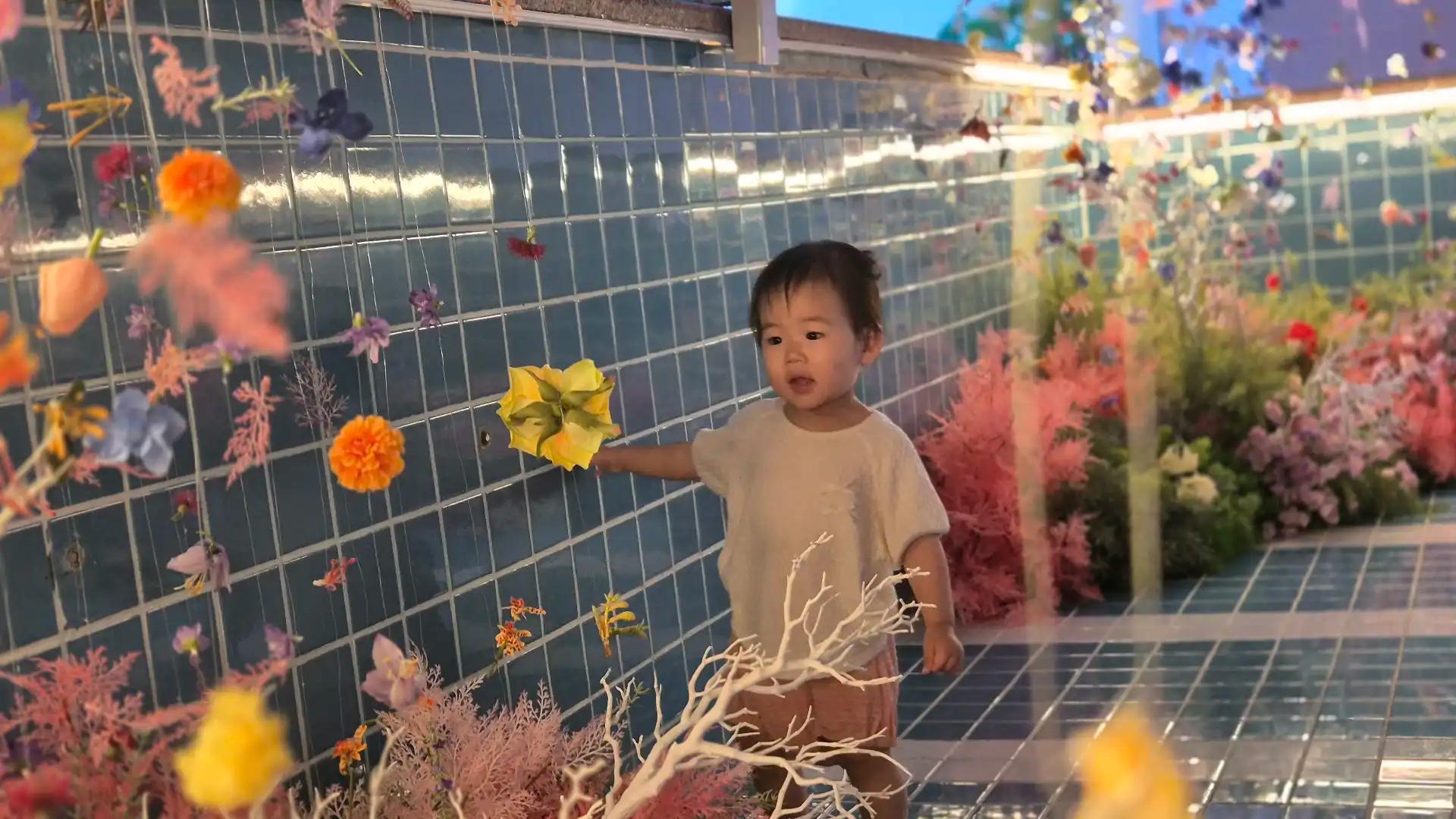 크루톡 이미지