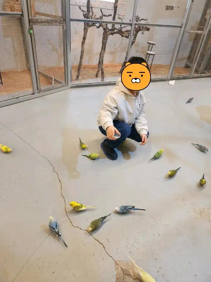 크루톡 이미지