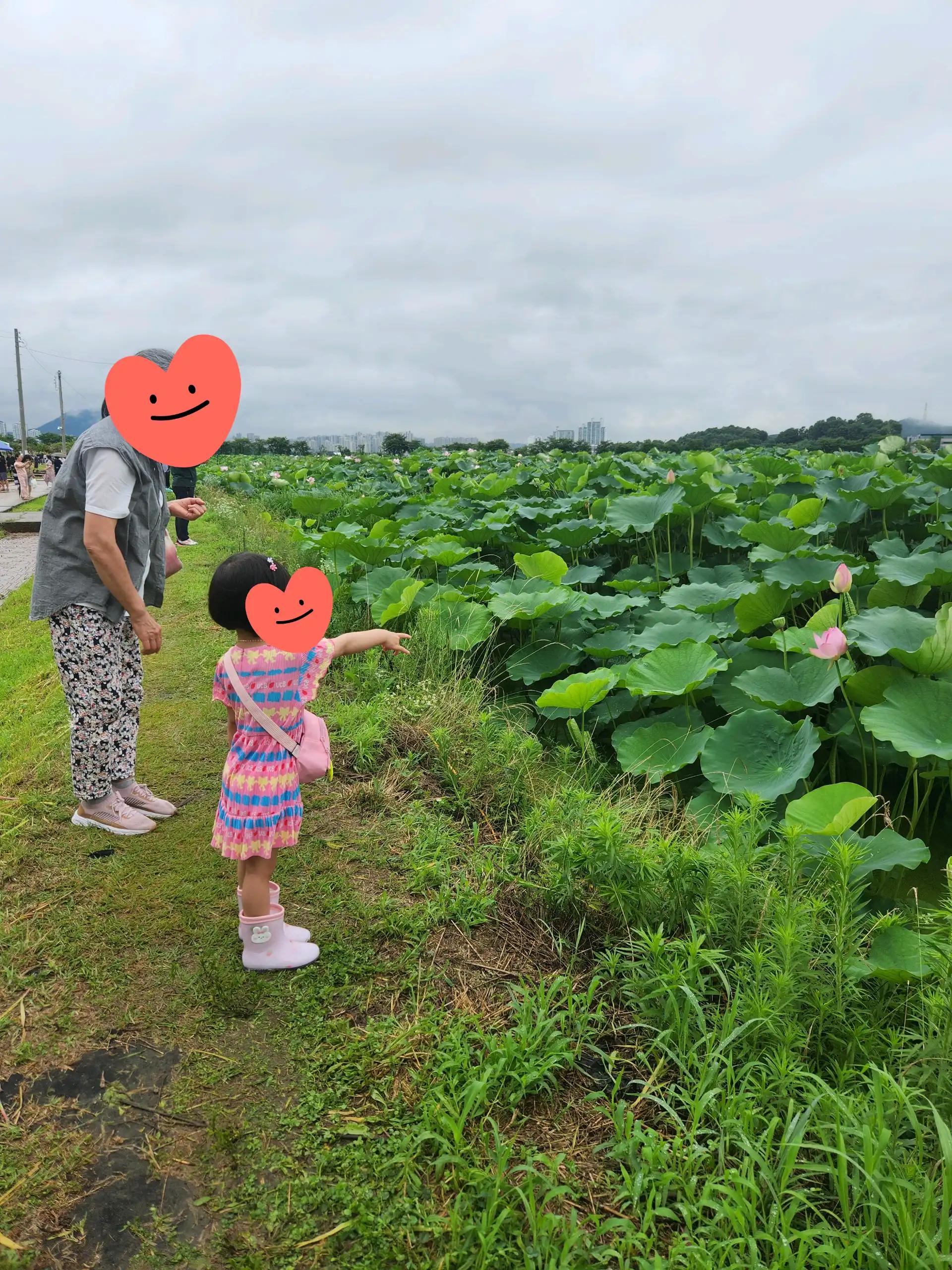 크루톡 이미지