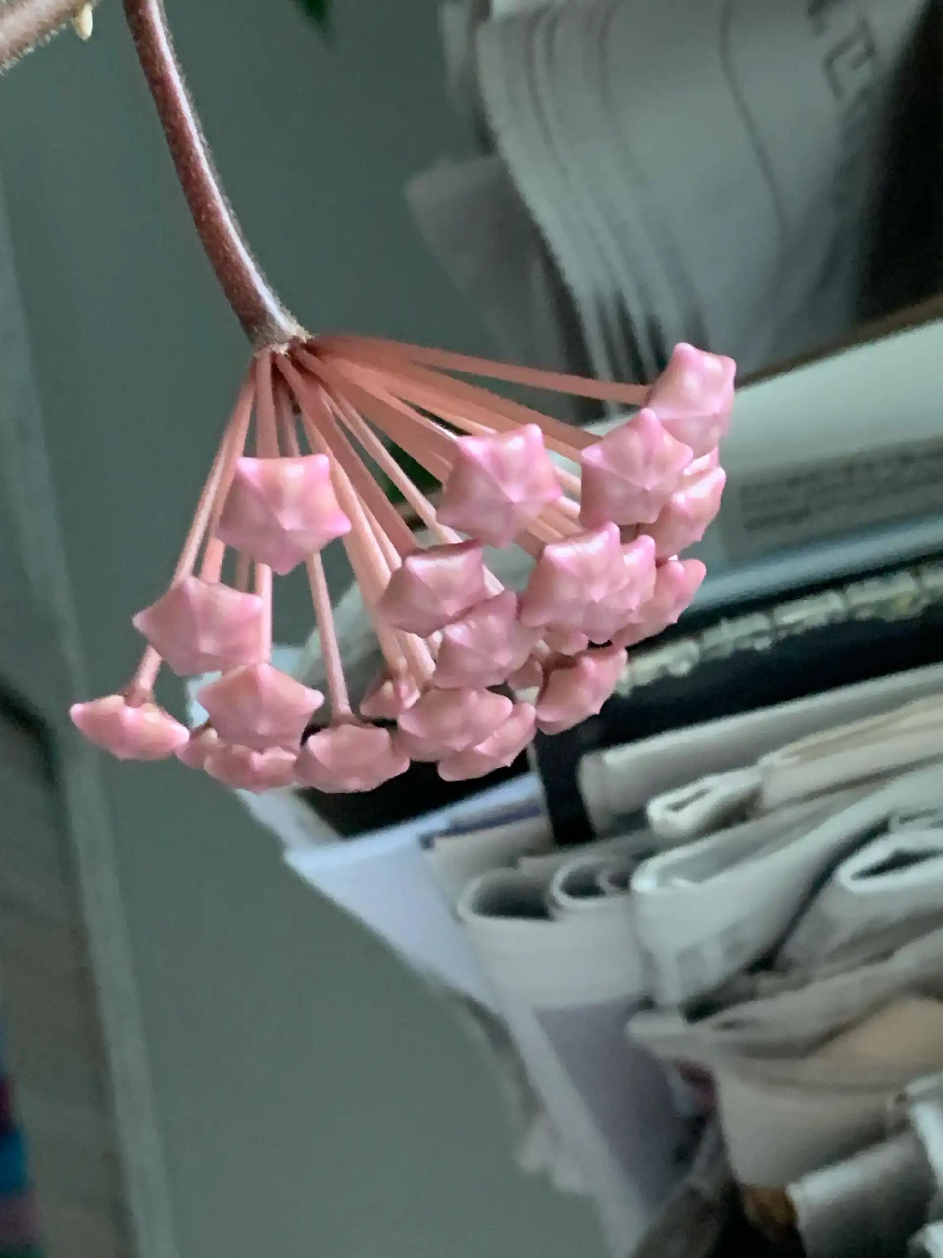 크루톡 이미지