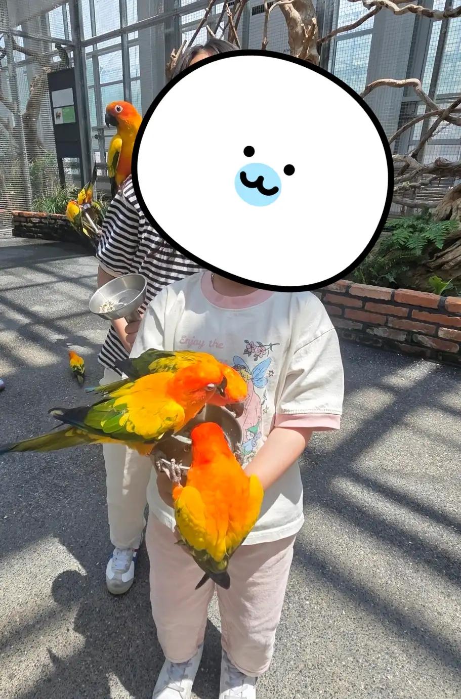 크루톡 이미지