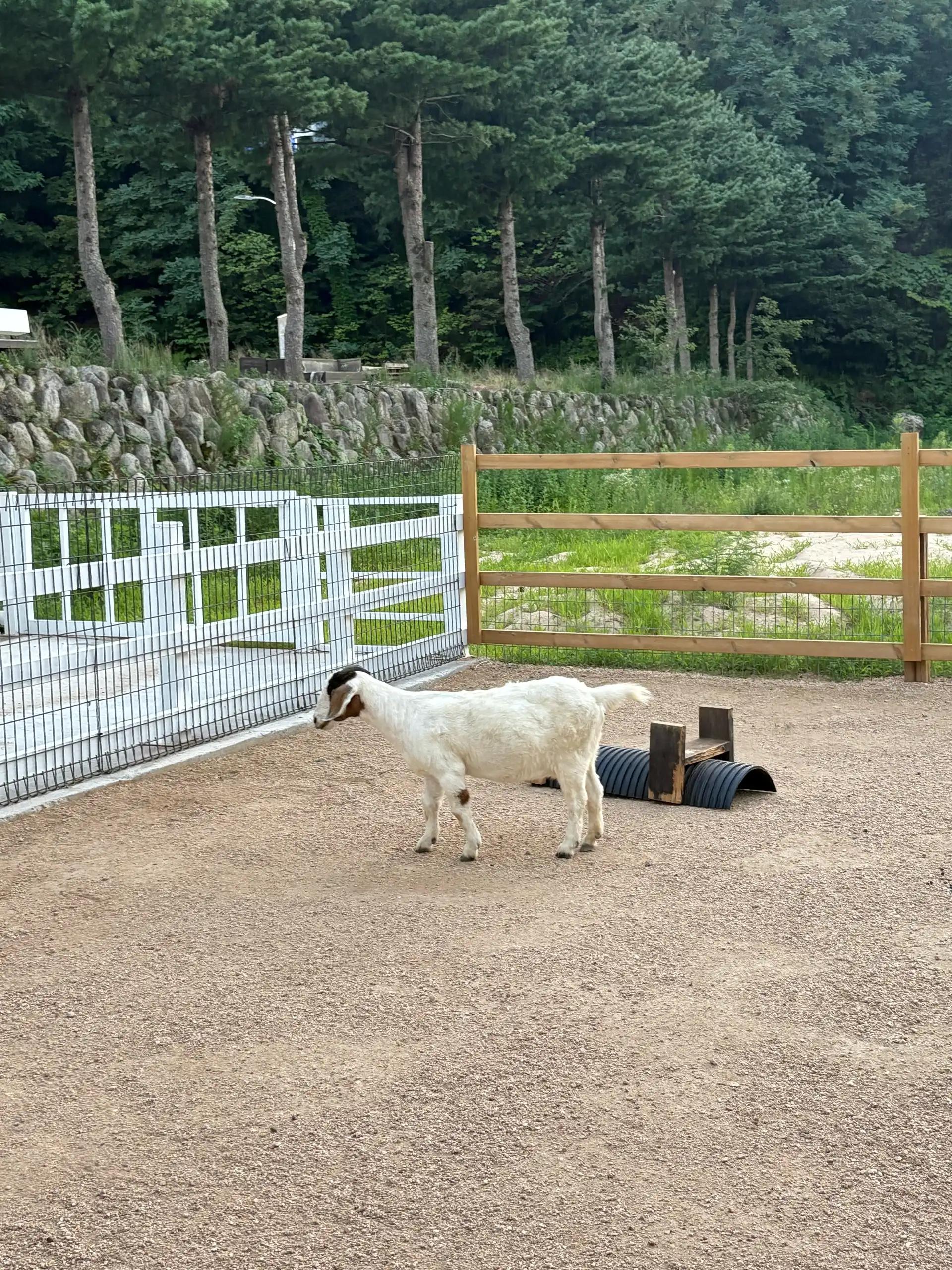 크루톡 이미지