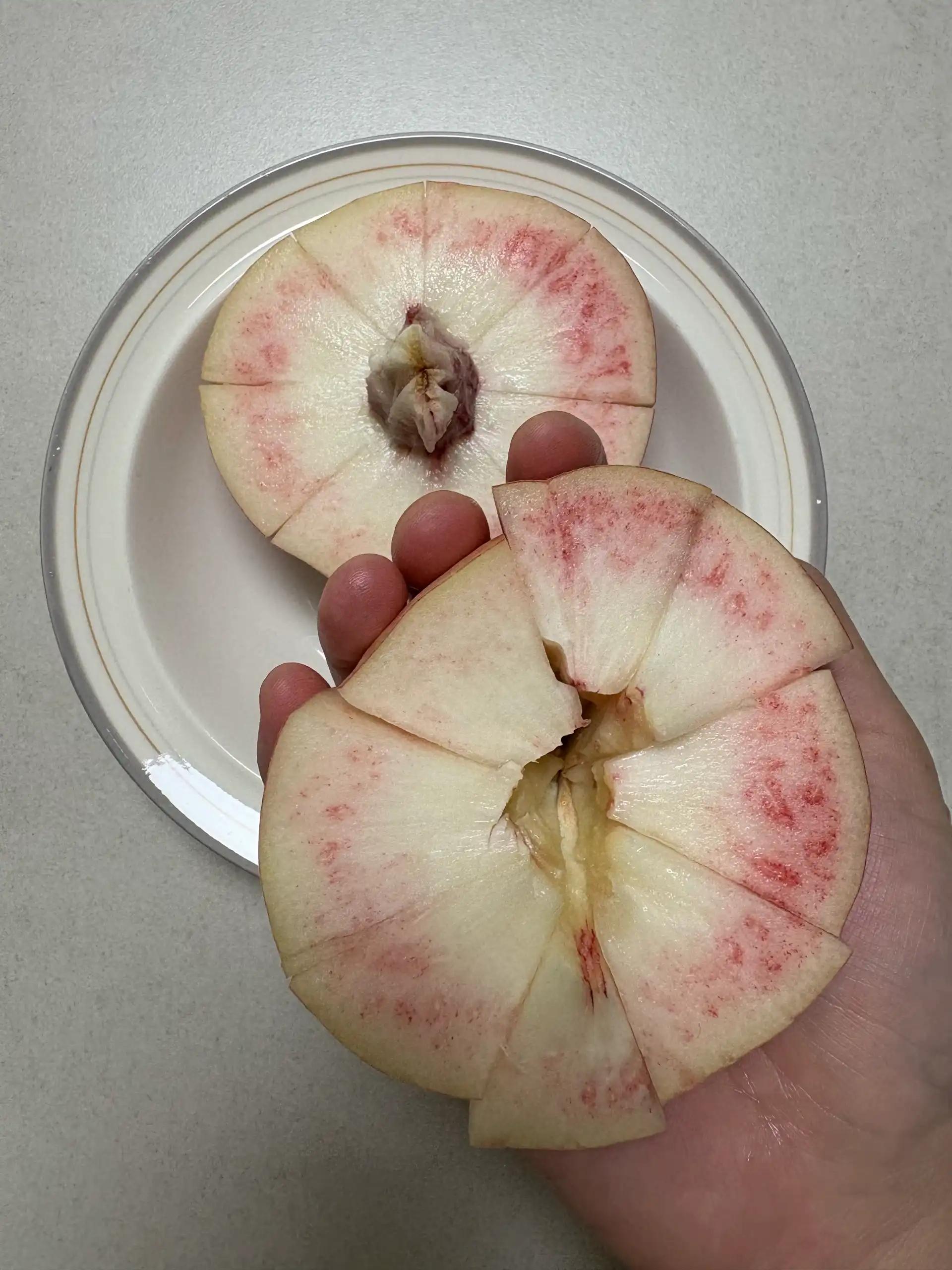 크루톡 이미지