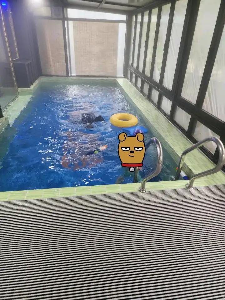 크루톡 이미지 2